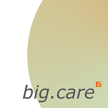 big.care für Sozialträger logo