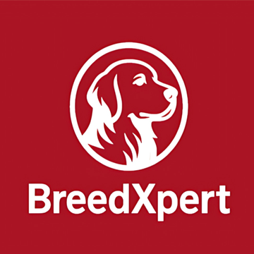 BreedXpert logo