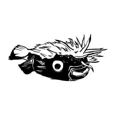 FMVue logo