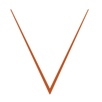 VEOSYS logo
